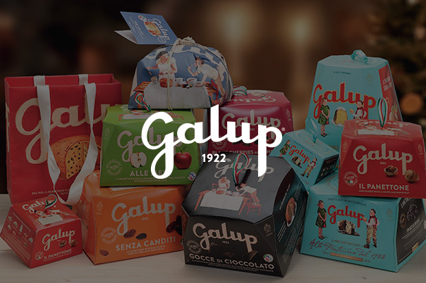Panettone Galup made in italy