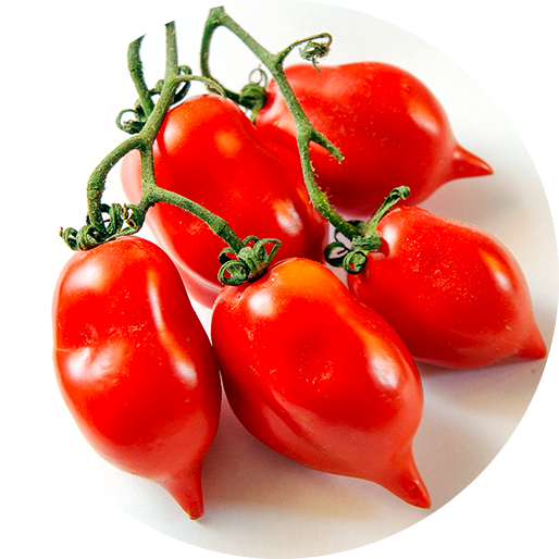 tomates-italiennes-chr-castelli