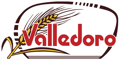 Logo Valledoro